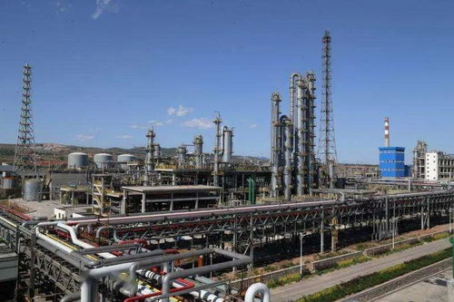 平煤神马集团尼龙科技二期己内酰胺项目成功投料试车，年产20万吨助力仓储业升级